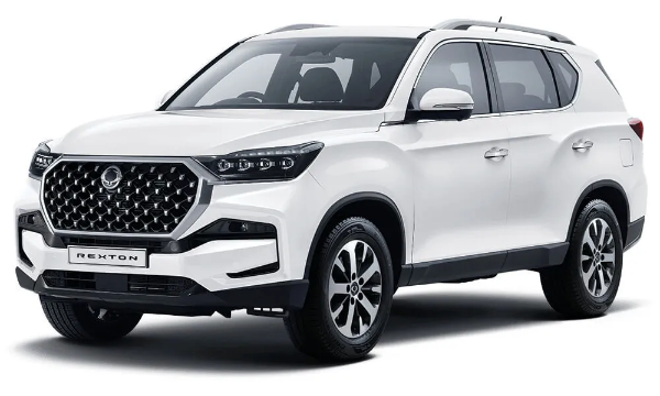 Rexton sports